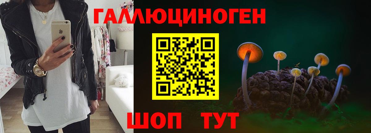 Псилоцибиновые грибы Cubensis  Пыть-Ях 
